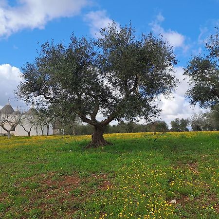 Trulli Carlo Anna Βίλα Locorotondo Εξωτερικό φωτογραφία