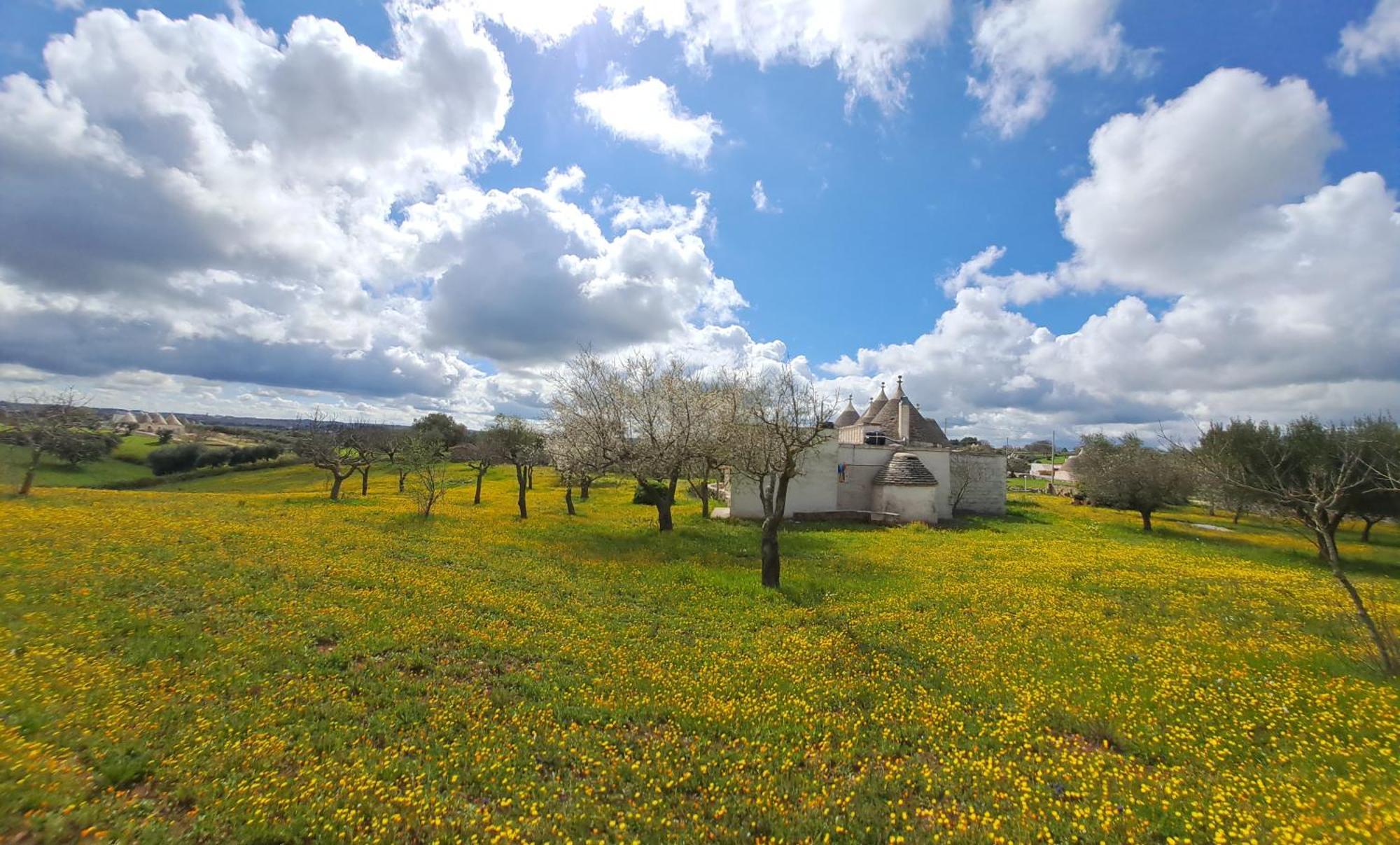 Trulli Carlo Anna Βίλα Locorotondo Εξωτερικό φωτογραφία