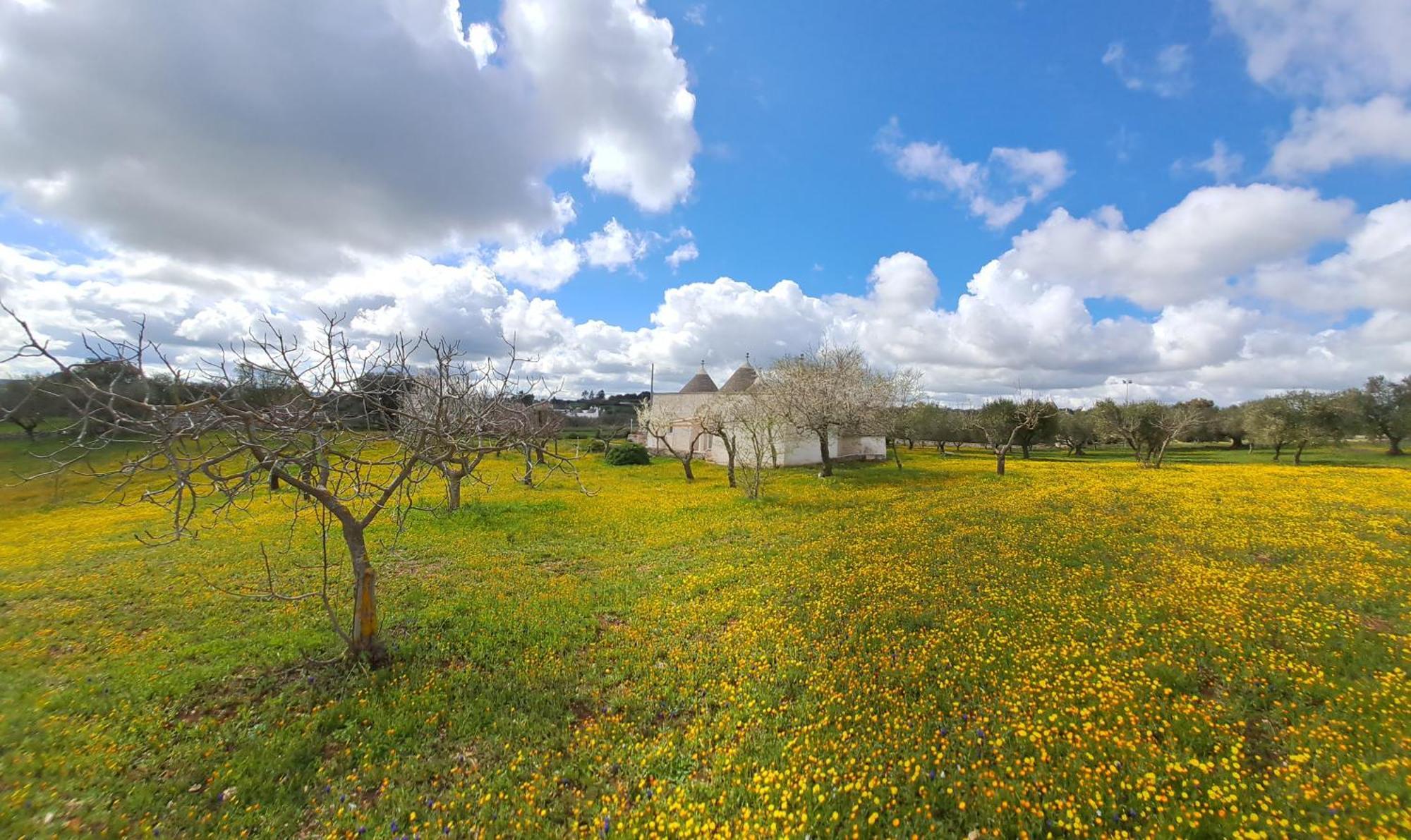 Trulli Carlo Anna Βίλα Locorotondo Εξωτερικό φωτογραφία