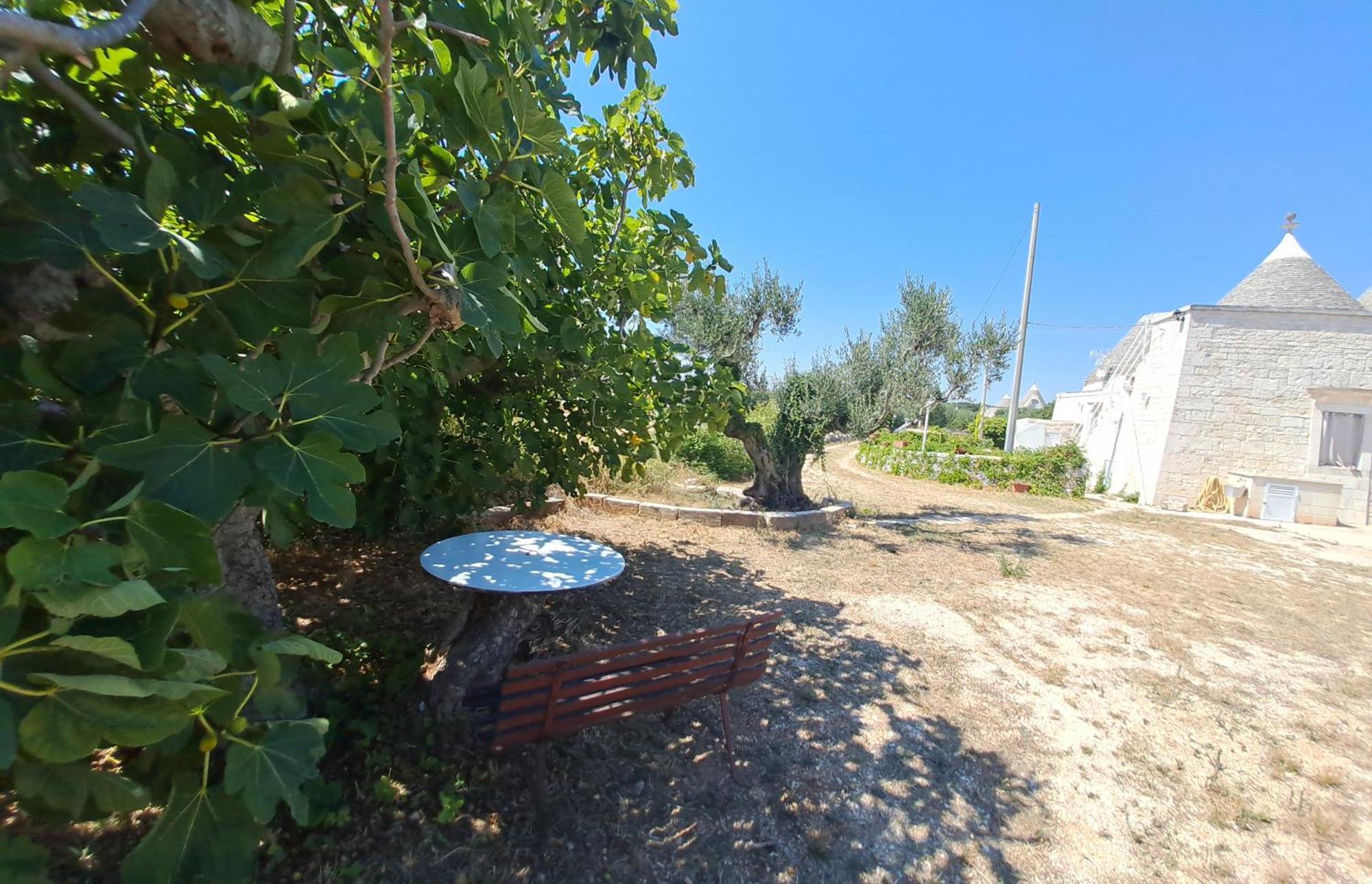 Trulli Carlo Anna Βίλα Locorotondo Εξωτερικό φωτογραφία