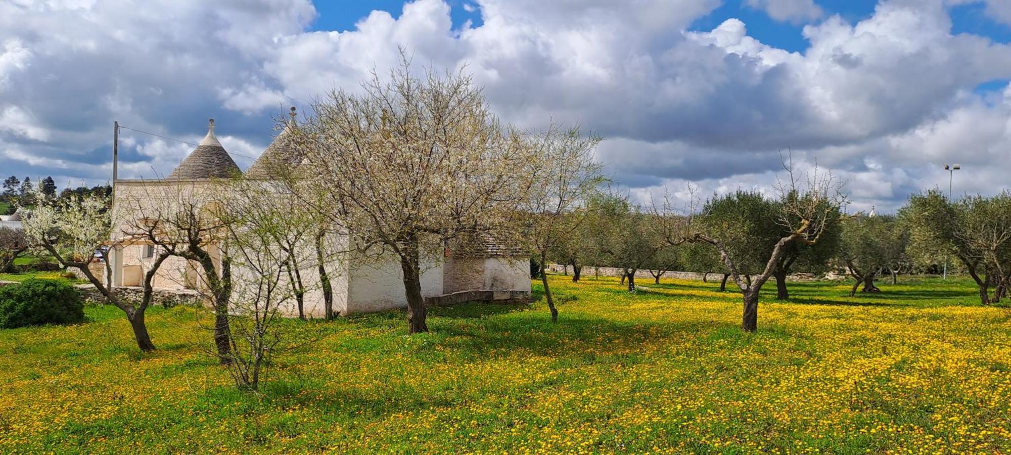 Trulli Carlo Anna Βίλα Locorotondo Εξωτερικό φωτογραφία
